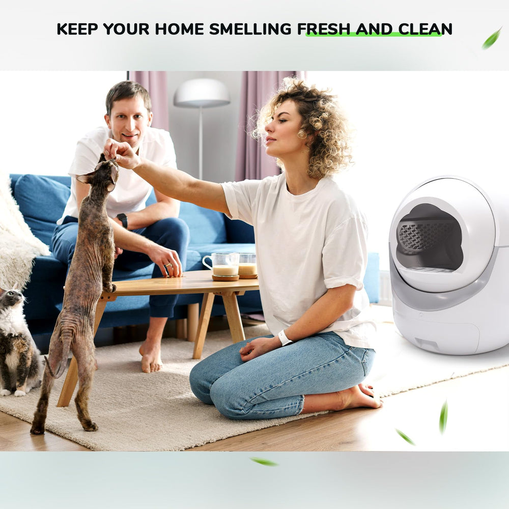 Bilibara 65-count packaging signals value and stock-up convenience