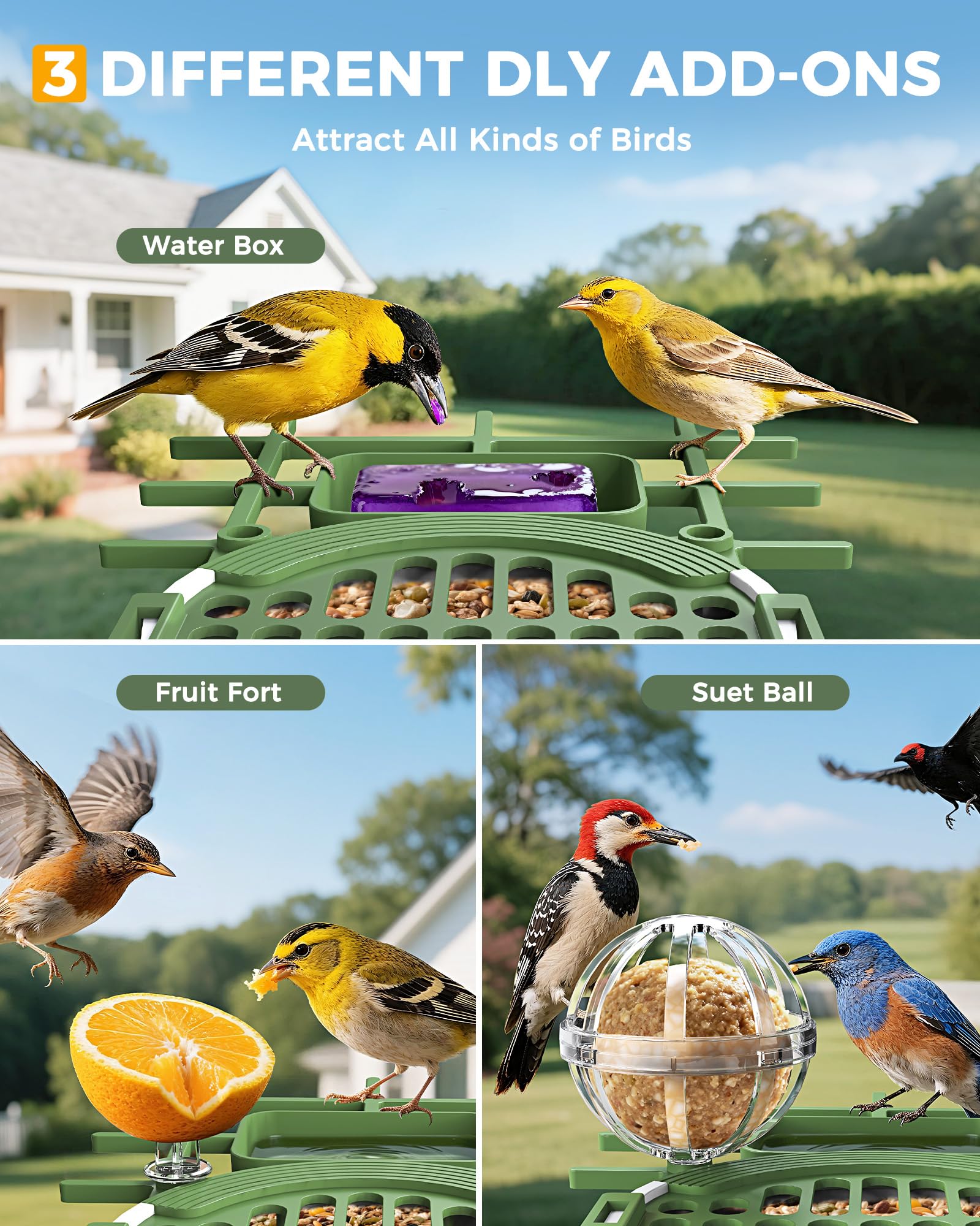 Bilibara IP65 waterproof rating graphic demonstrates year-round outdoor resilience.