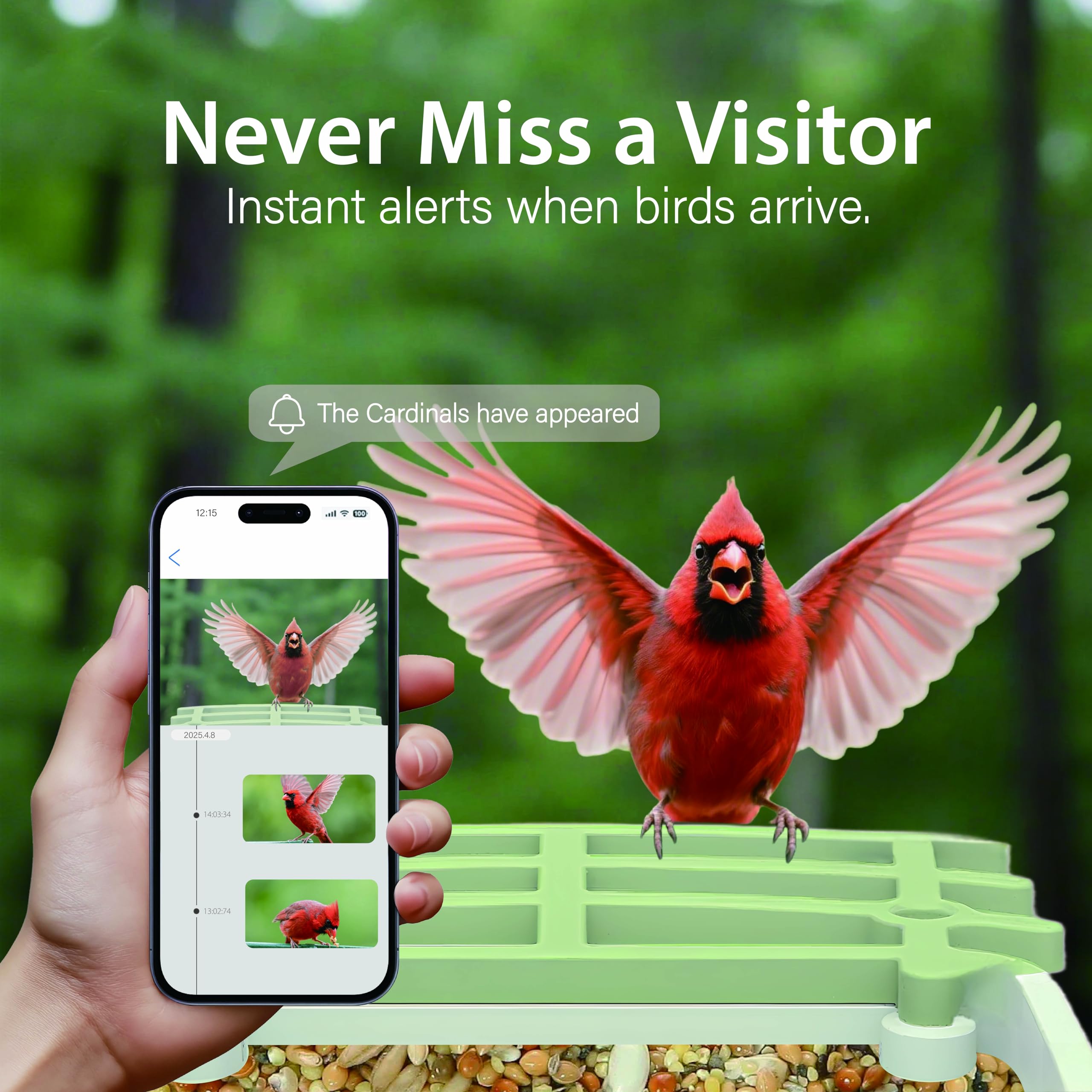 Billber AI species identification highlights 10,000+ birds for learning.