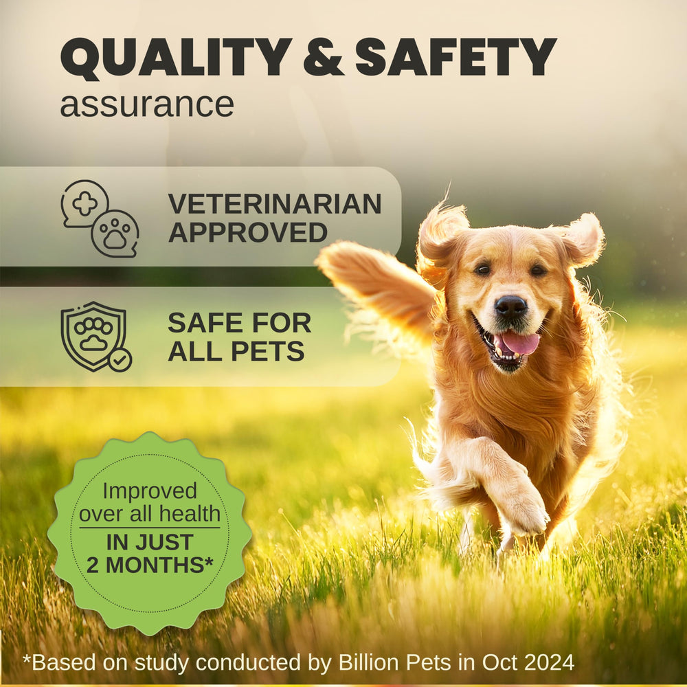 Billion Pets hemp oil coat shine closeup shows healthy-looking fur