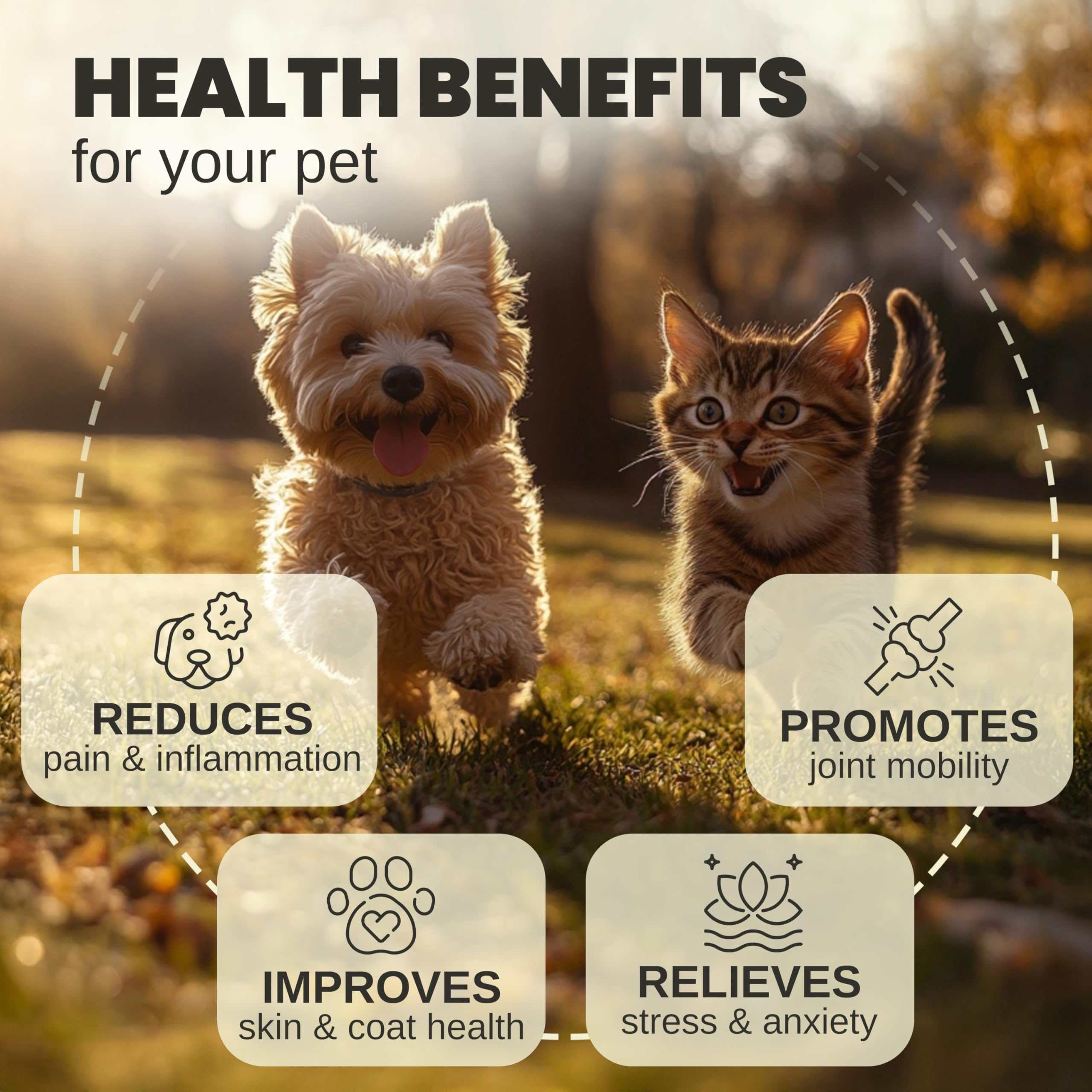 Billion Pets hemp oil dropper pour image demonstrates easy dosing for busy households.