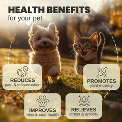 Billion Pets hemp oil dropper pour image demonstrates easy dosing for busy households.