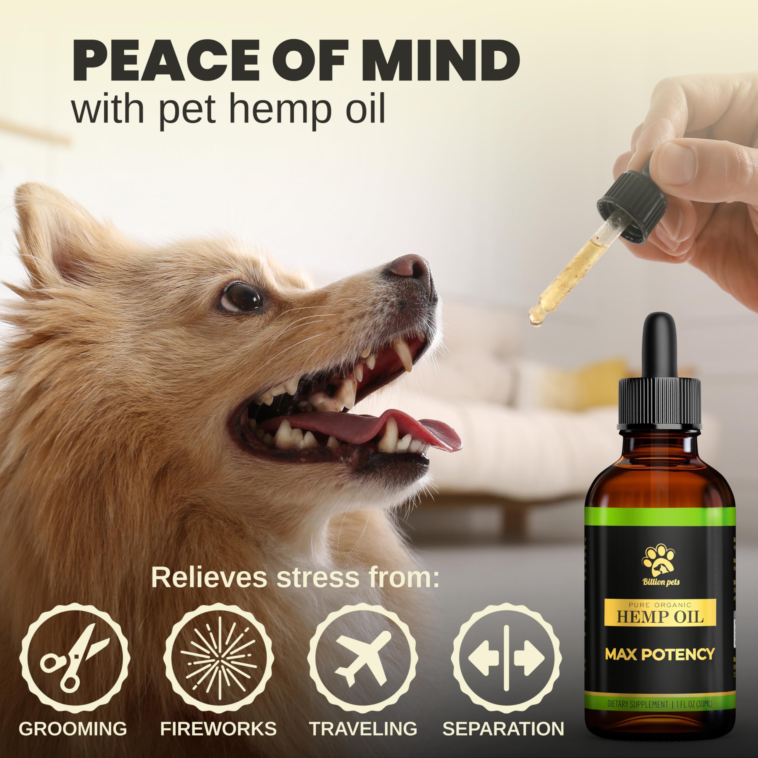 Billion Pets hemp oil in food dish image suggests easy mixing into meals.