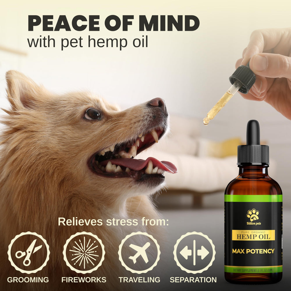 Billion Pets hemp oil in food dish image suggests easy mixing into meals.