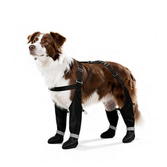 BillionChains dog boots with adjustable suspender secure fit during walks