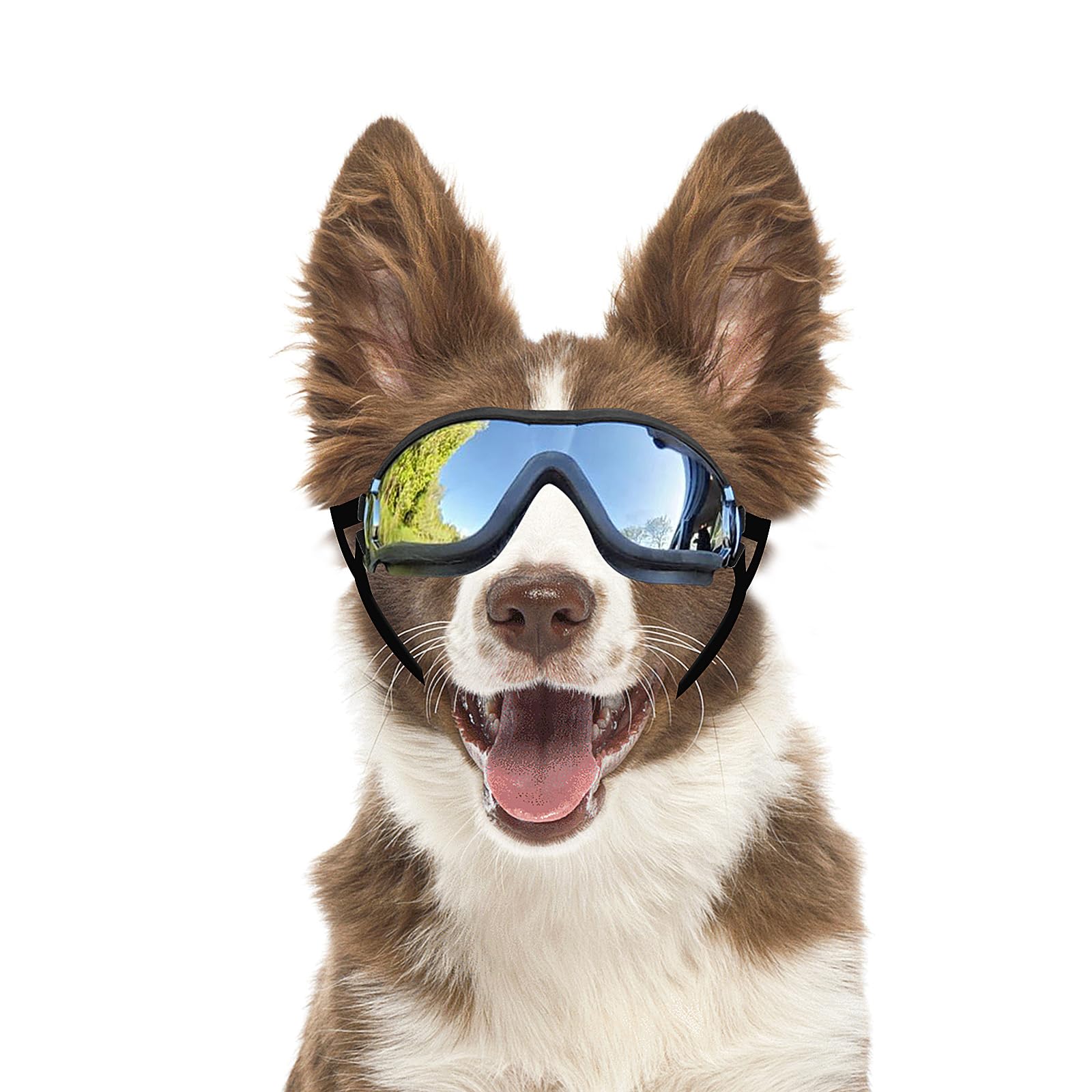 Billionchains dog goggles with adjustable straps on a medium-to-large breed for UV protection.