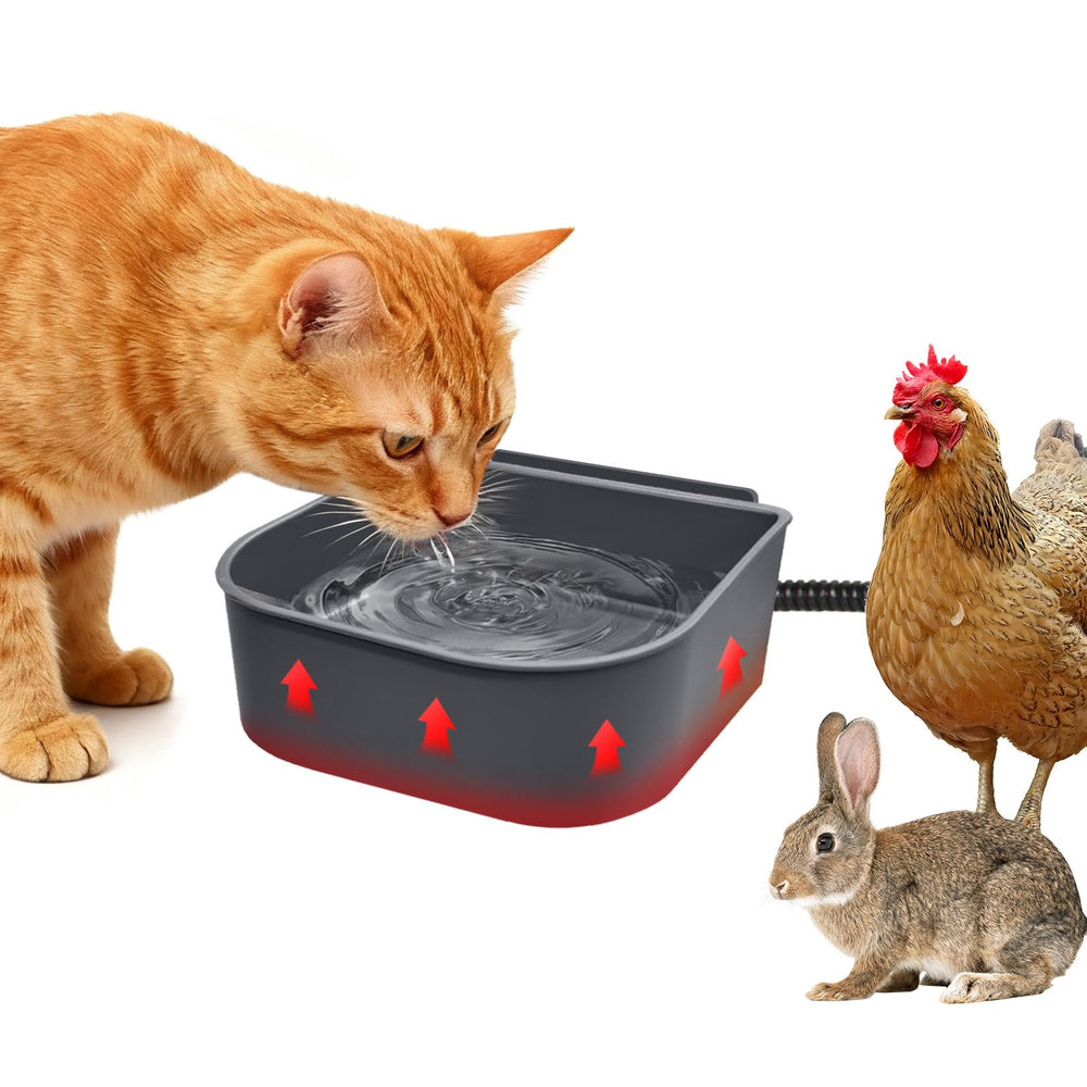 Billionchains dog heated water bowl mounted to crate for winter hydration