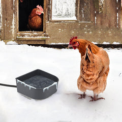 Billionchains heated water bowl ground placement for convenient outdoor access