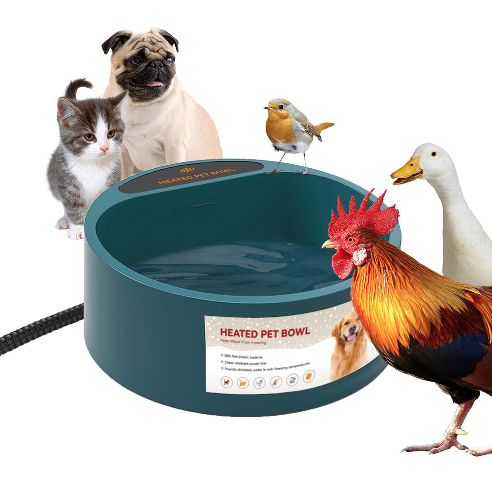 Billionchains dog heated water bowl outdoor shows warm hydration in cold weather