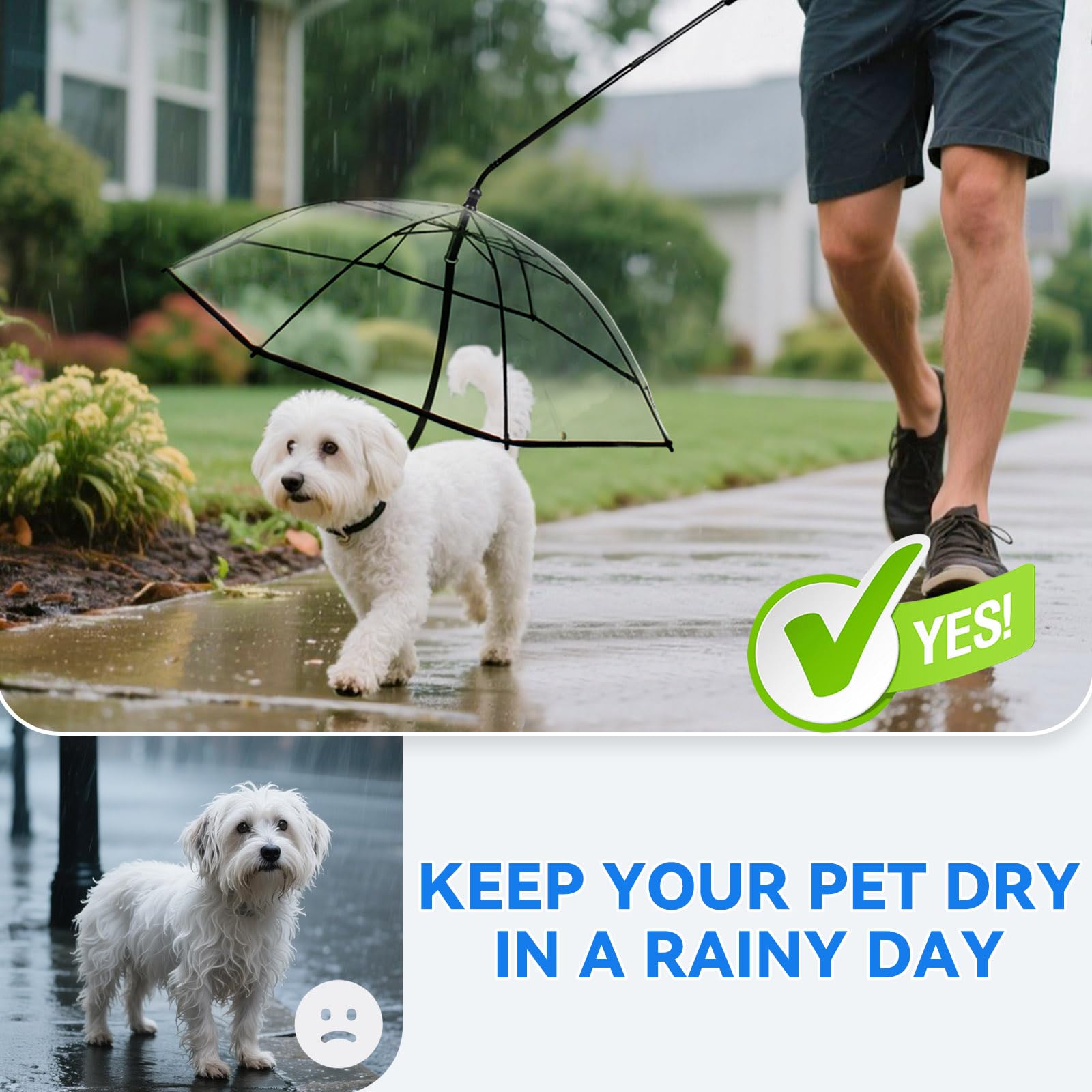 BillionChains dog umbrella with inside leash hook keeps dog close during walks