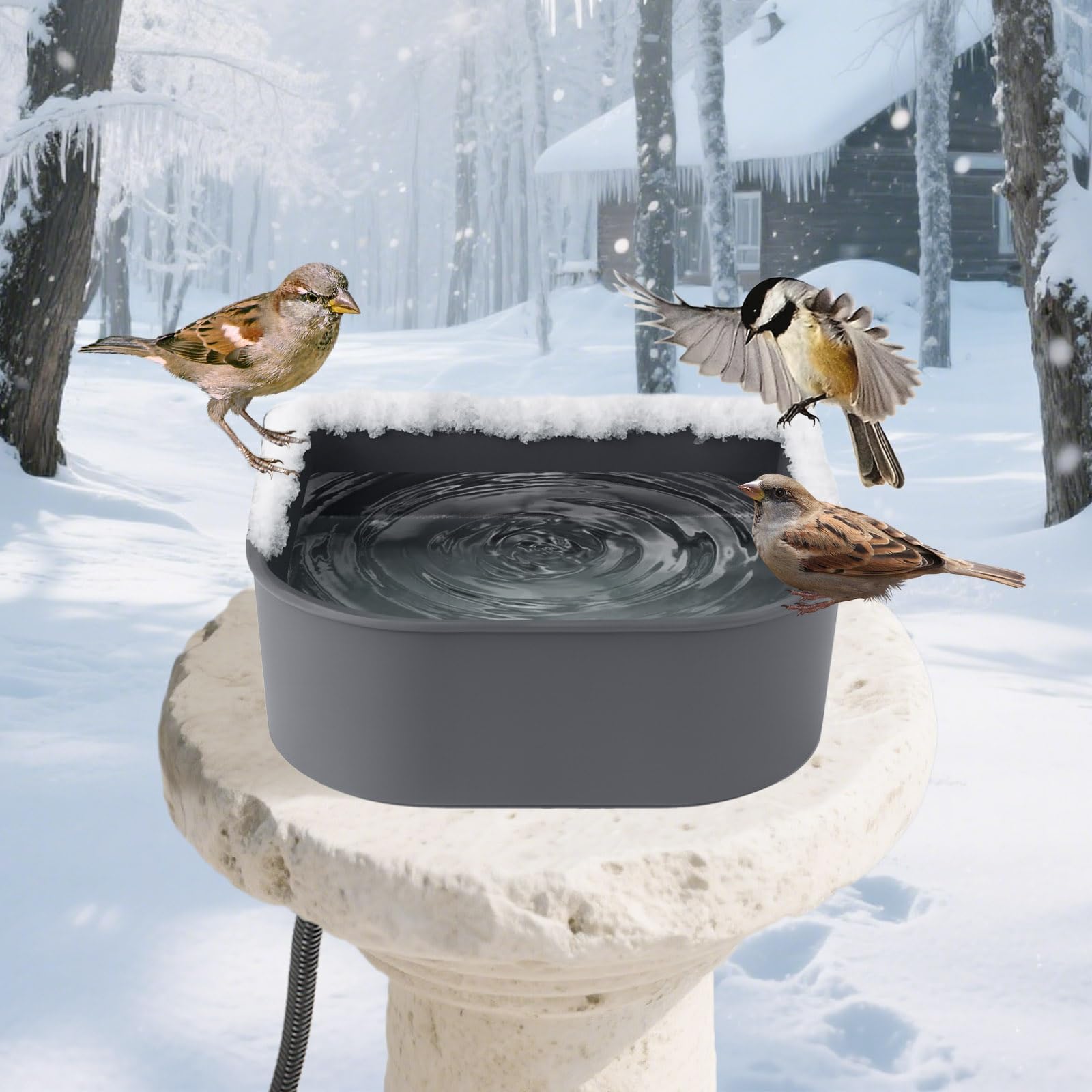 Billionchains heated water bowl in outdoor kennel for year-round hydration