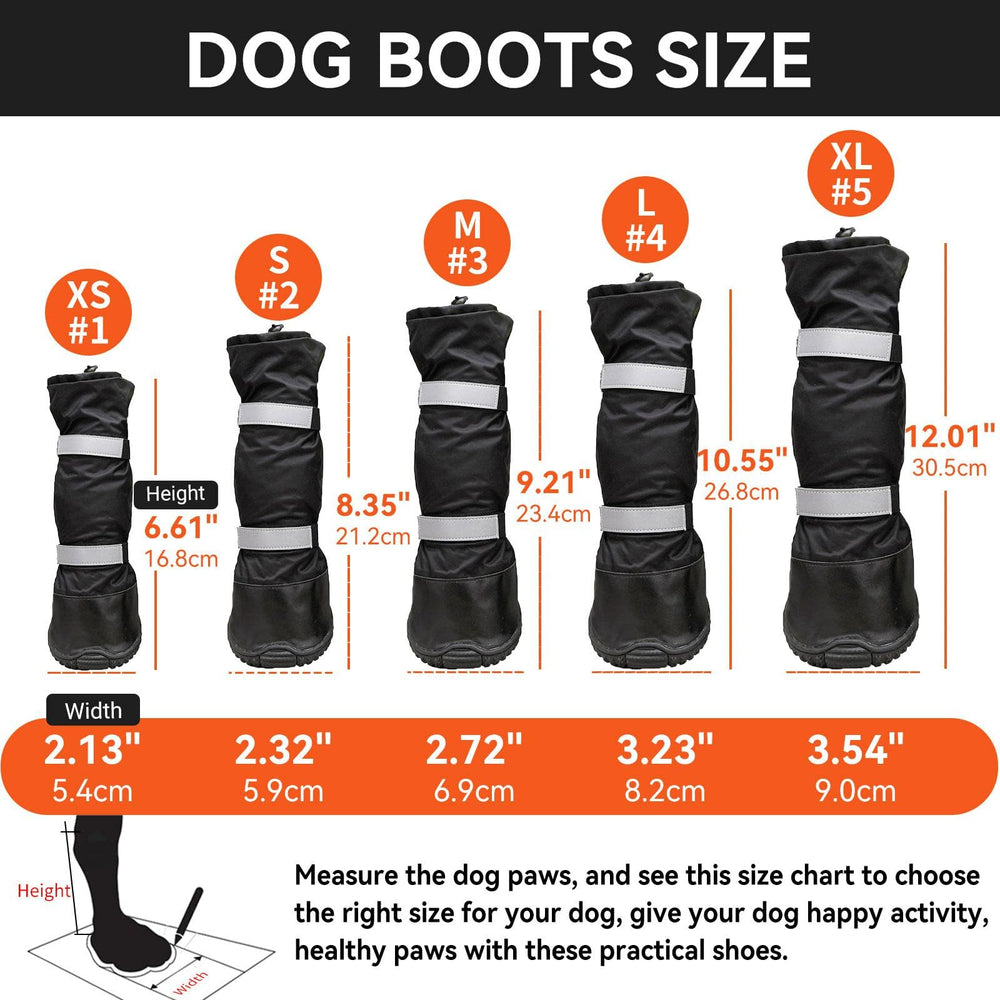 Perro usando botas Billionchains durante paseo en día lluvioso, protección de patas.