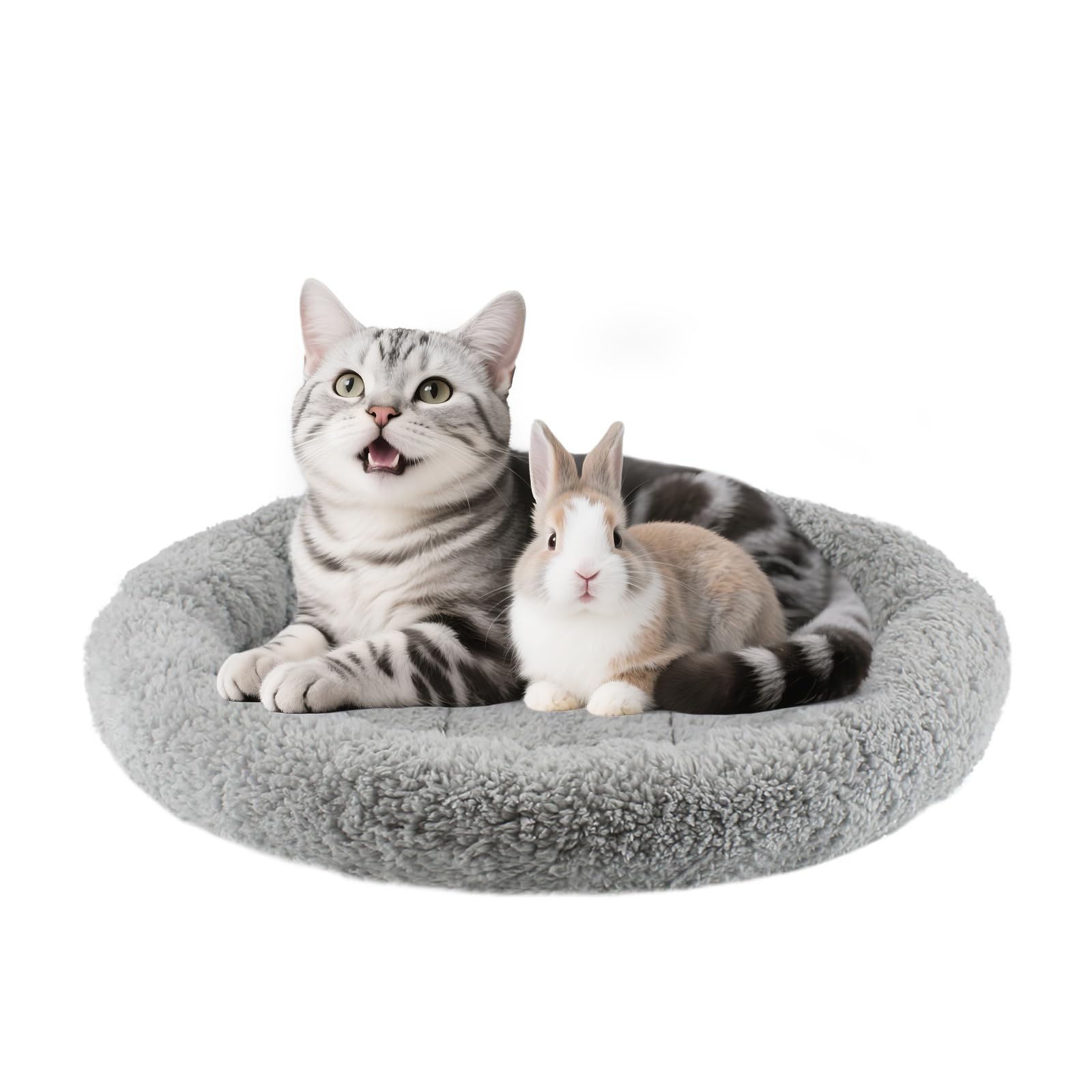 Billionchains round cat bed inner diameter—cozy lounging space for cats