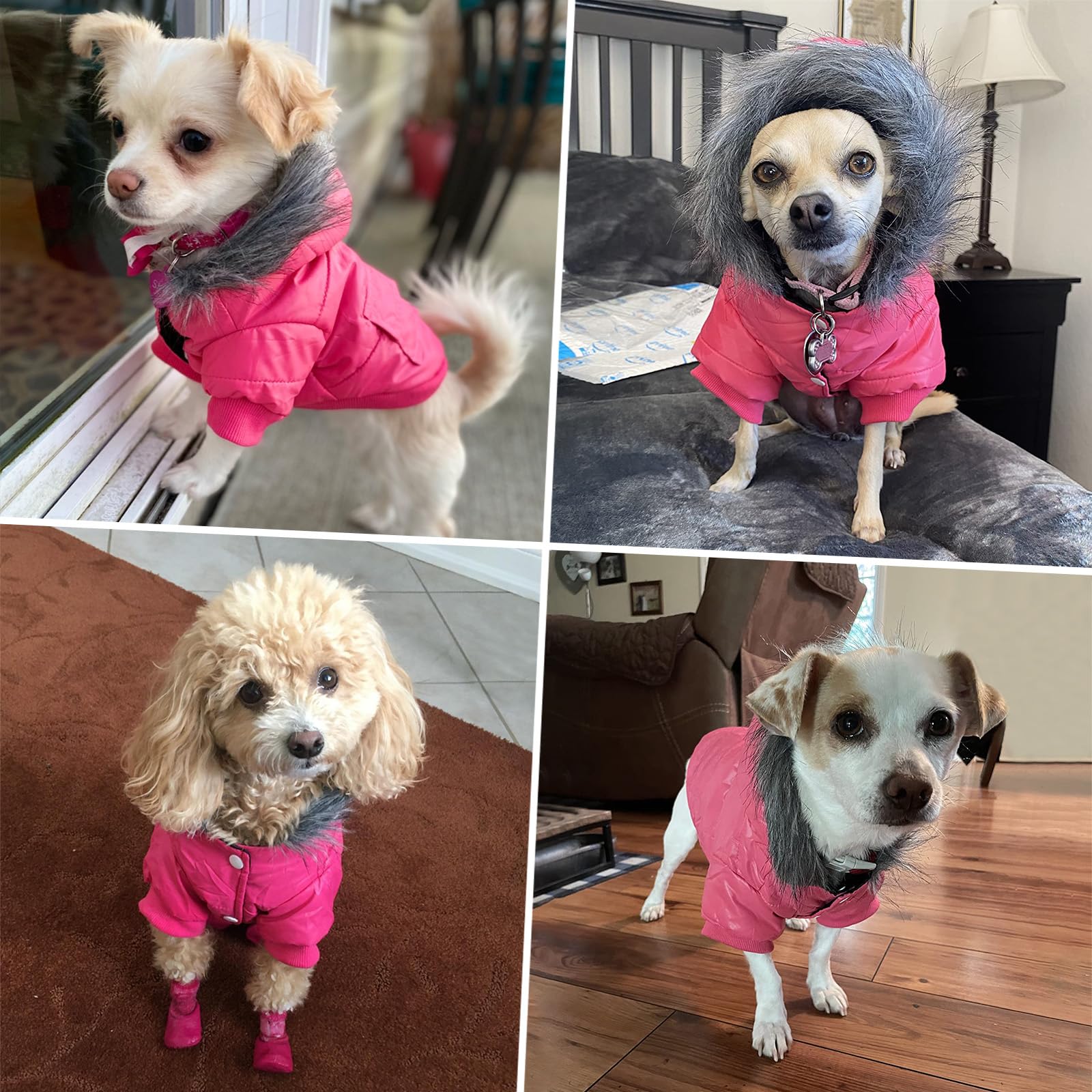 Billionchains small dog coat pink back pocket, convenient for snacks and poop bags.