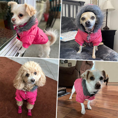 Billionchains small dog coat pink back pocket, convenient for snacks and poop bags.
