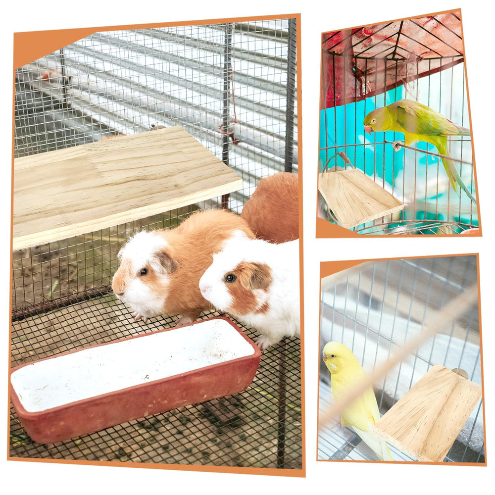 BILLIOTEAM parrots enjoy varied textures and heights for enrichment and playtime.