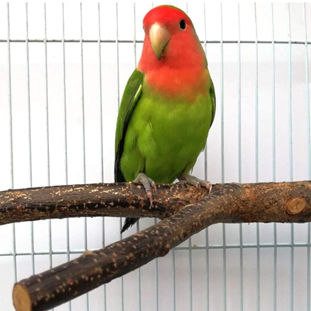 BILLIOTEAM tool-free installation perch showing quick cage setup