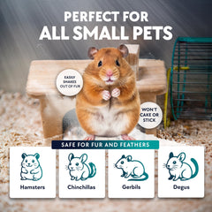 Billy Buckskin hamster enjoying sand bath promotes natural behavior and activity.