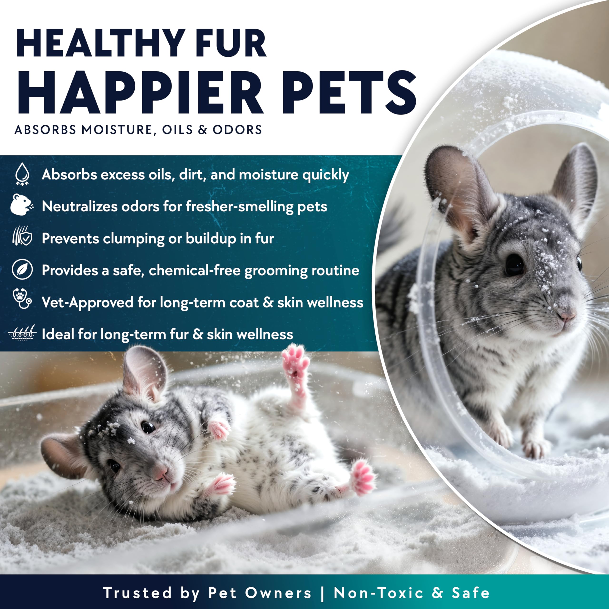 Billy Buckskin hamster sand bath granules in dish aid oil absorption.