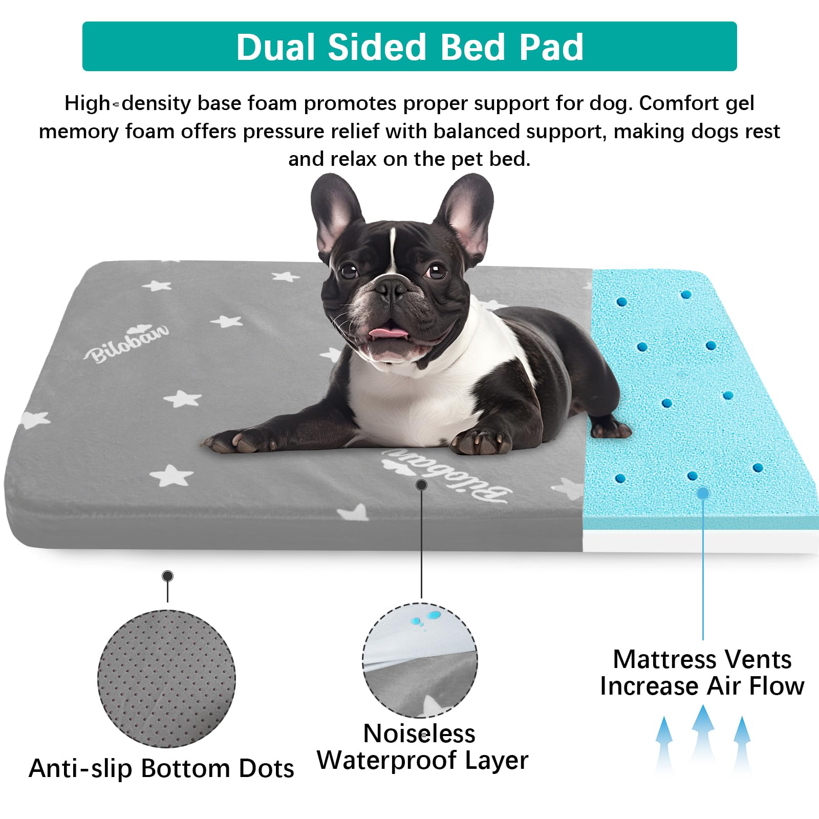 Biloban large dog in bedroom: cozy resting spot for restful sleep