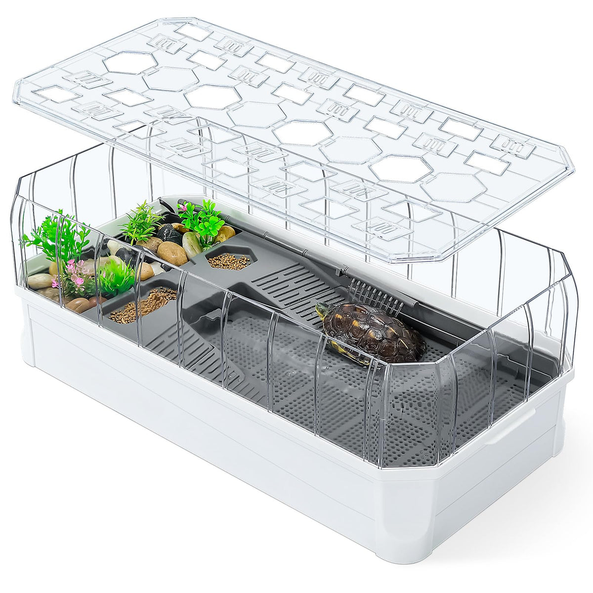 BINANO turtle habitat front view shows spacious space for baby turtles to explore