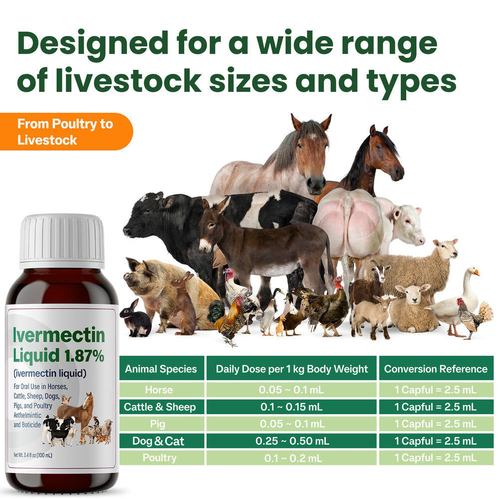 Bingbrofam dewormer horse-care application demonstrates gentle, effective internal support.