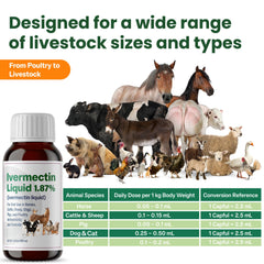 Bingbrofam dewormer horse-care application demonstrates gentle, effective internal support.