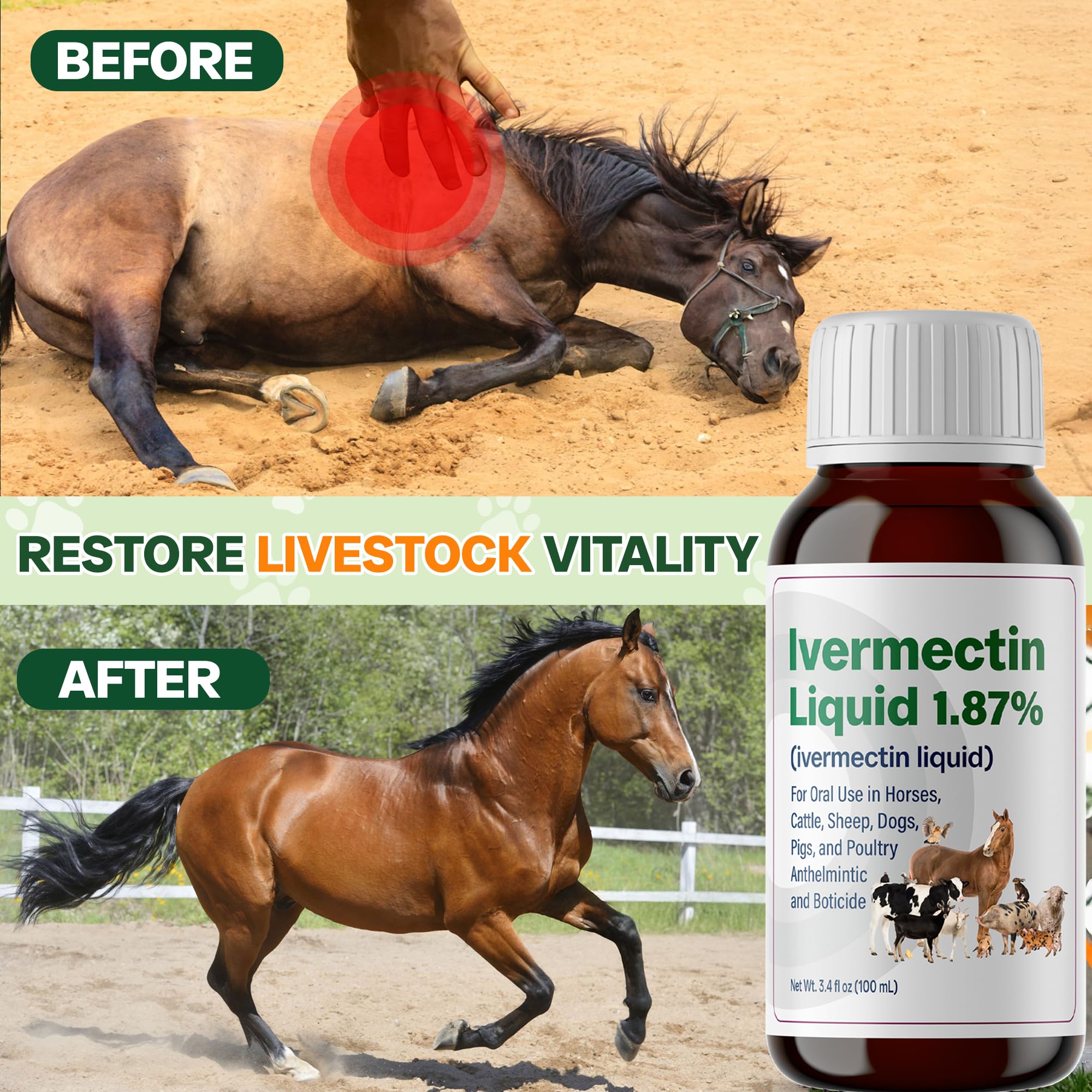 Bingbrofam dewormer poultry-dosing setup promotes quick, stress-free administration.