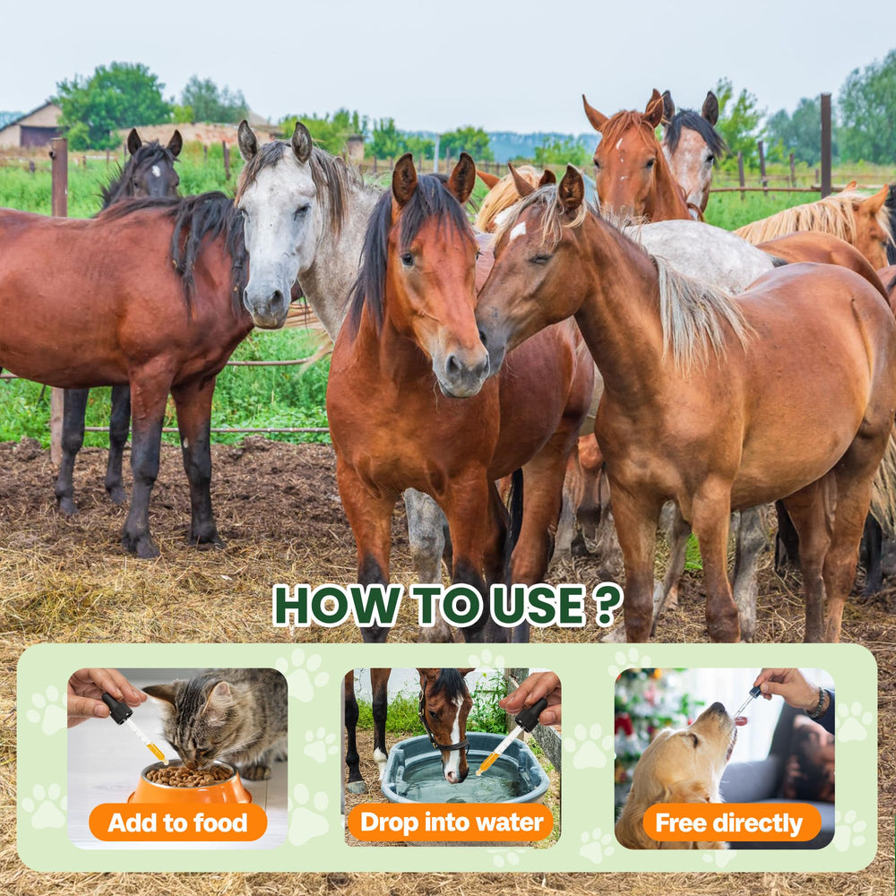 Bingbrofam dewormer quality-testing badge emphasizes safety and consistency.