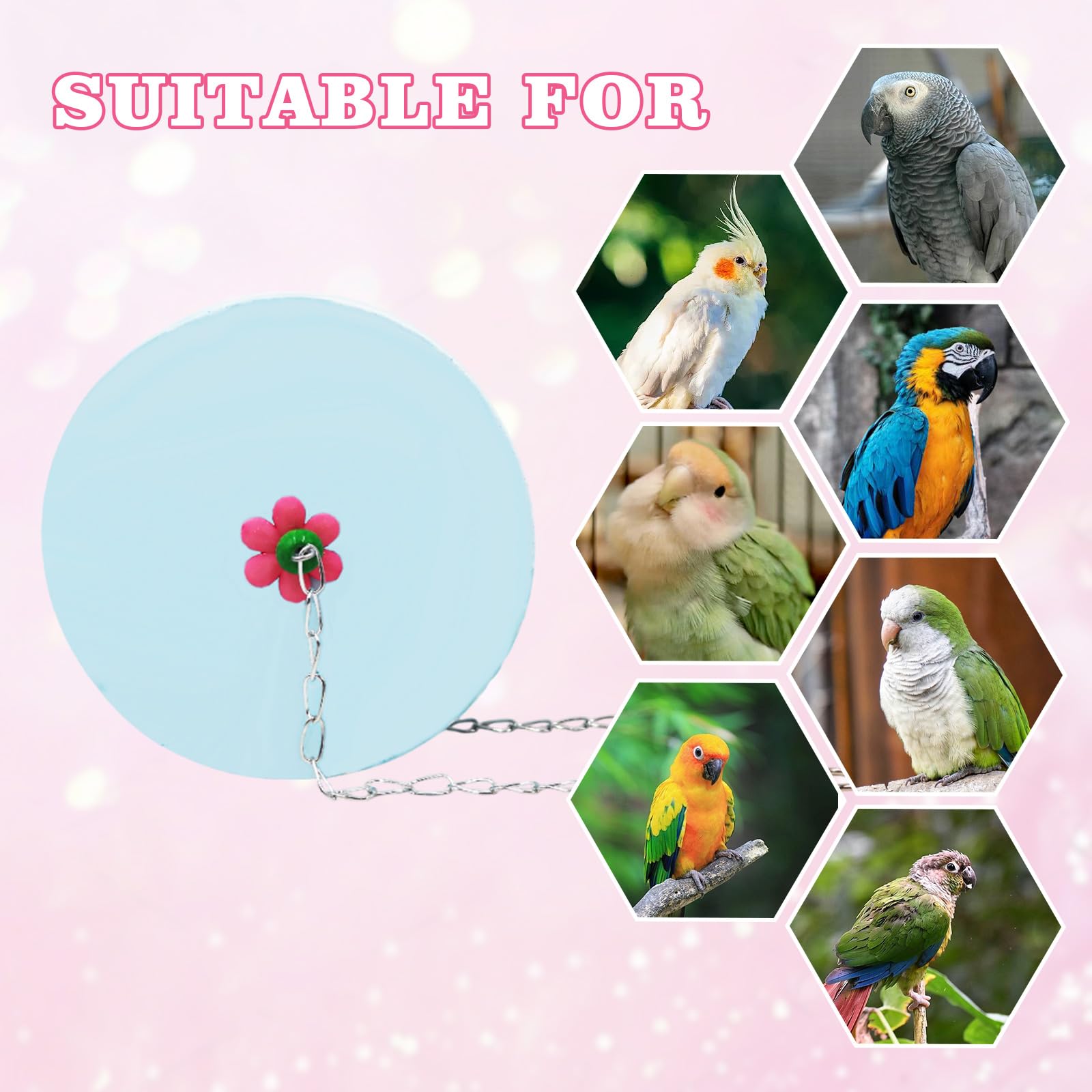 BingegePet safe mineral stone material free of coatings for birds.