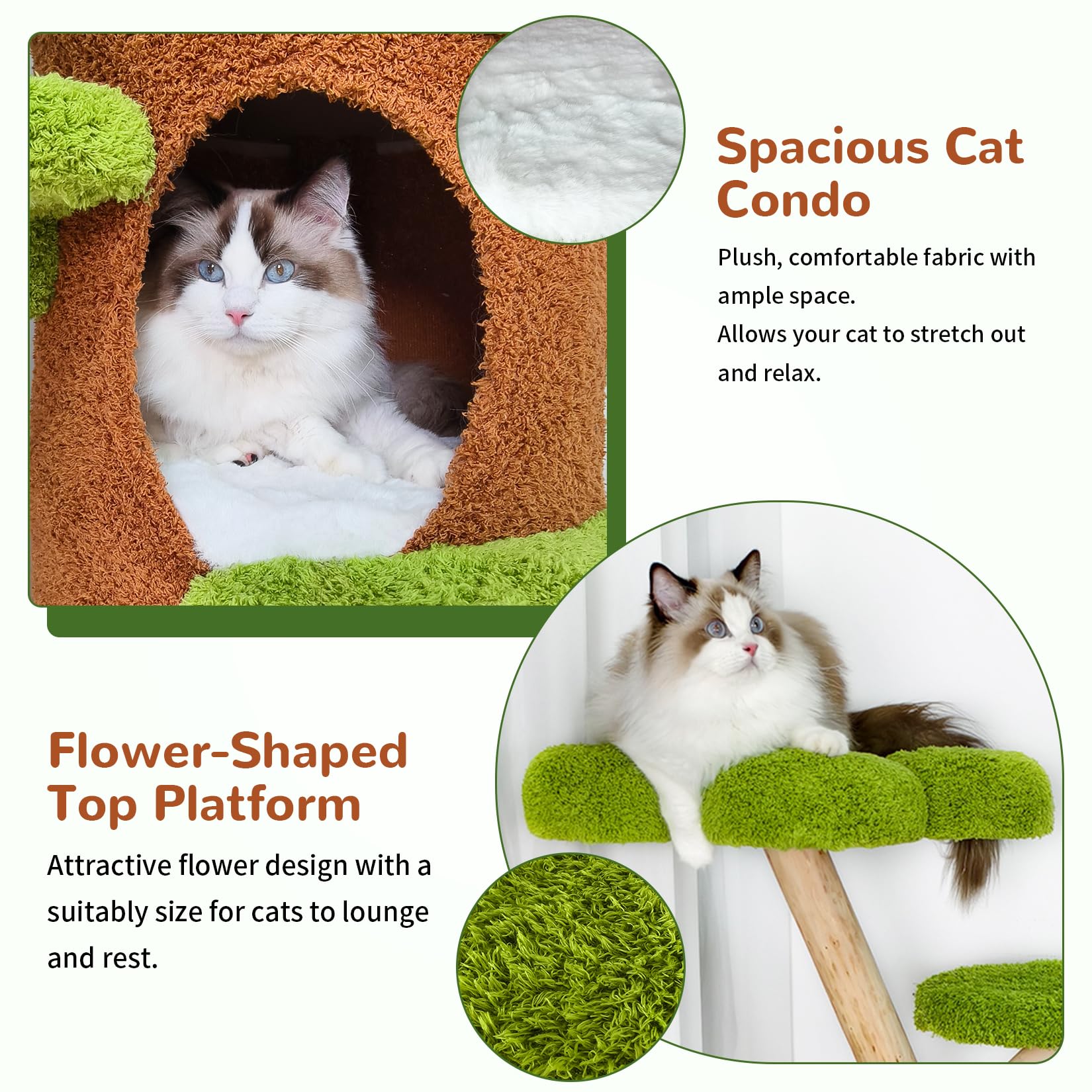 BingoPaw easy assembly guides straightforward installation.