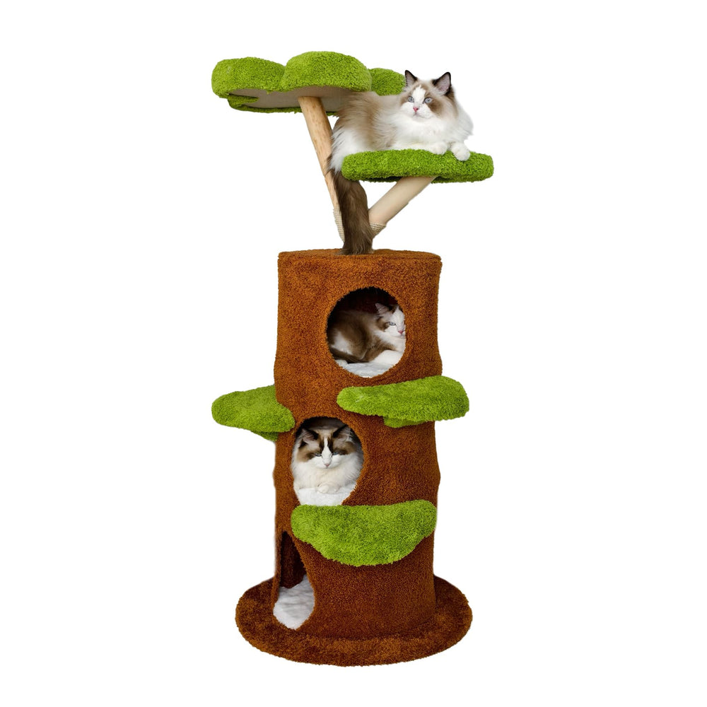 BingoPaw room scene shows the cat tree integrated into living space.