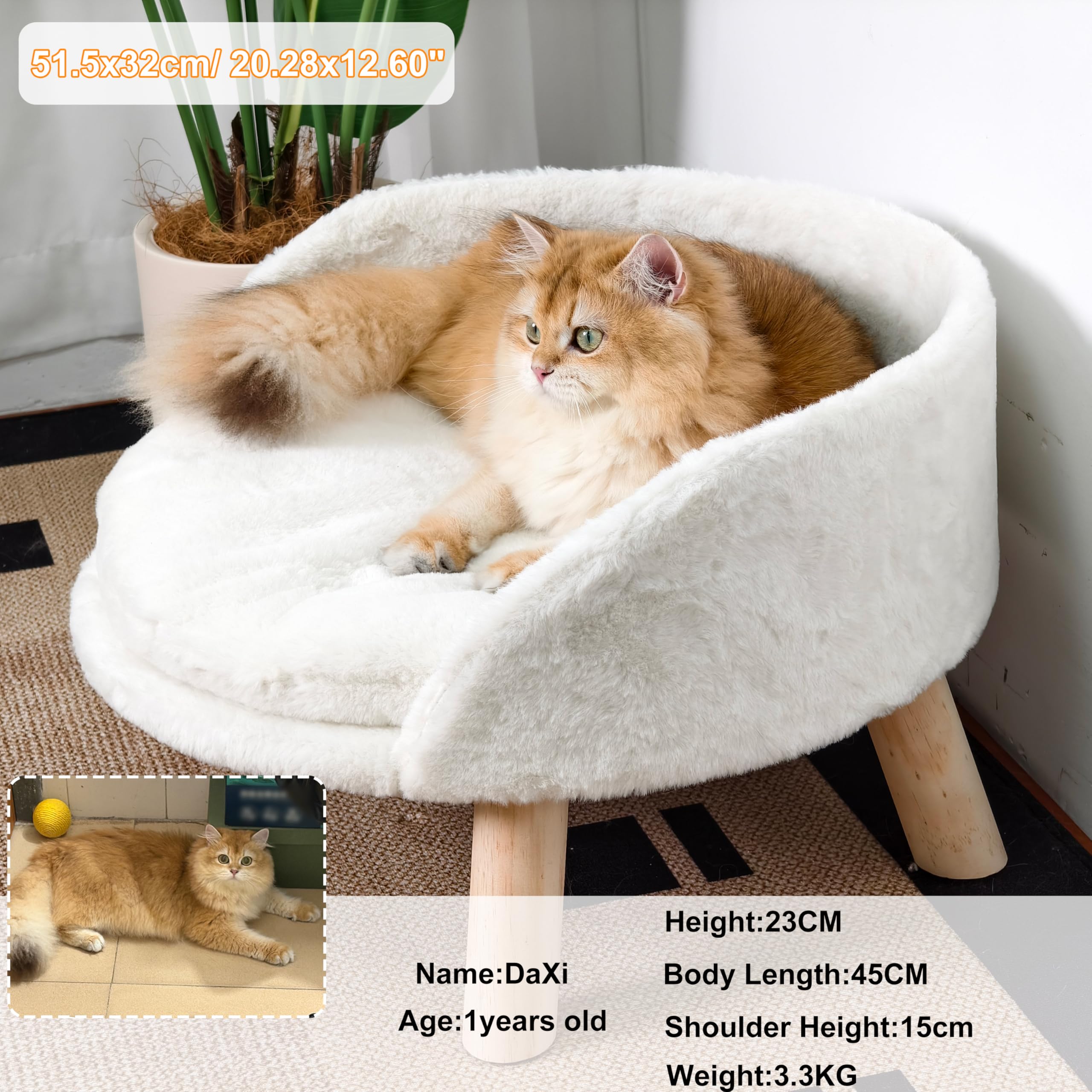 BingoPaw elevated-pet-bed-backrest-closeup emphasizes safety and comfort