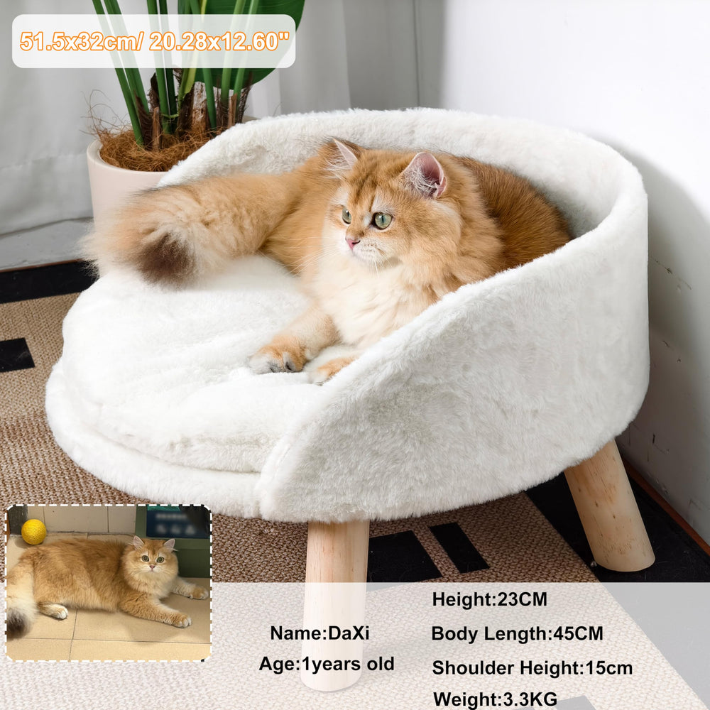 BingoPaw elevated-pet-bed-backrest-closeup emphasizes safety and comfort