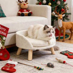 BingoPaw elevated-pet-bed-front-view — cozy perch for small pets