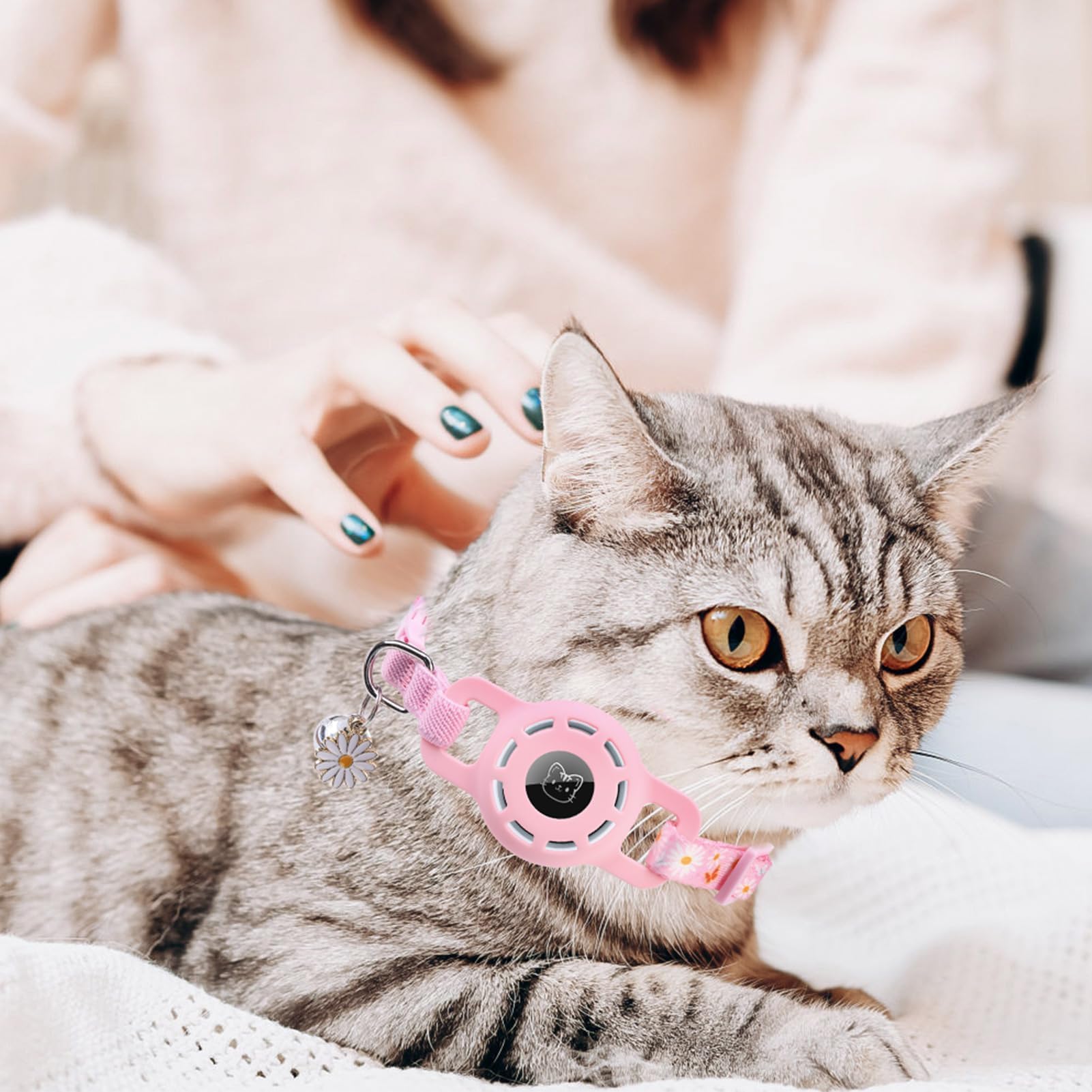 BINGPET packaging shows one collar and detachable bell included.
