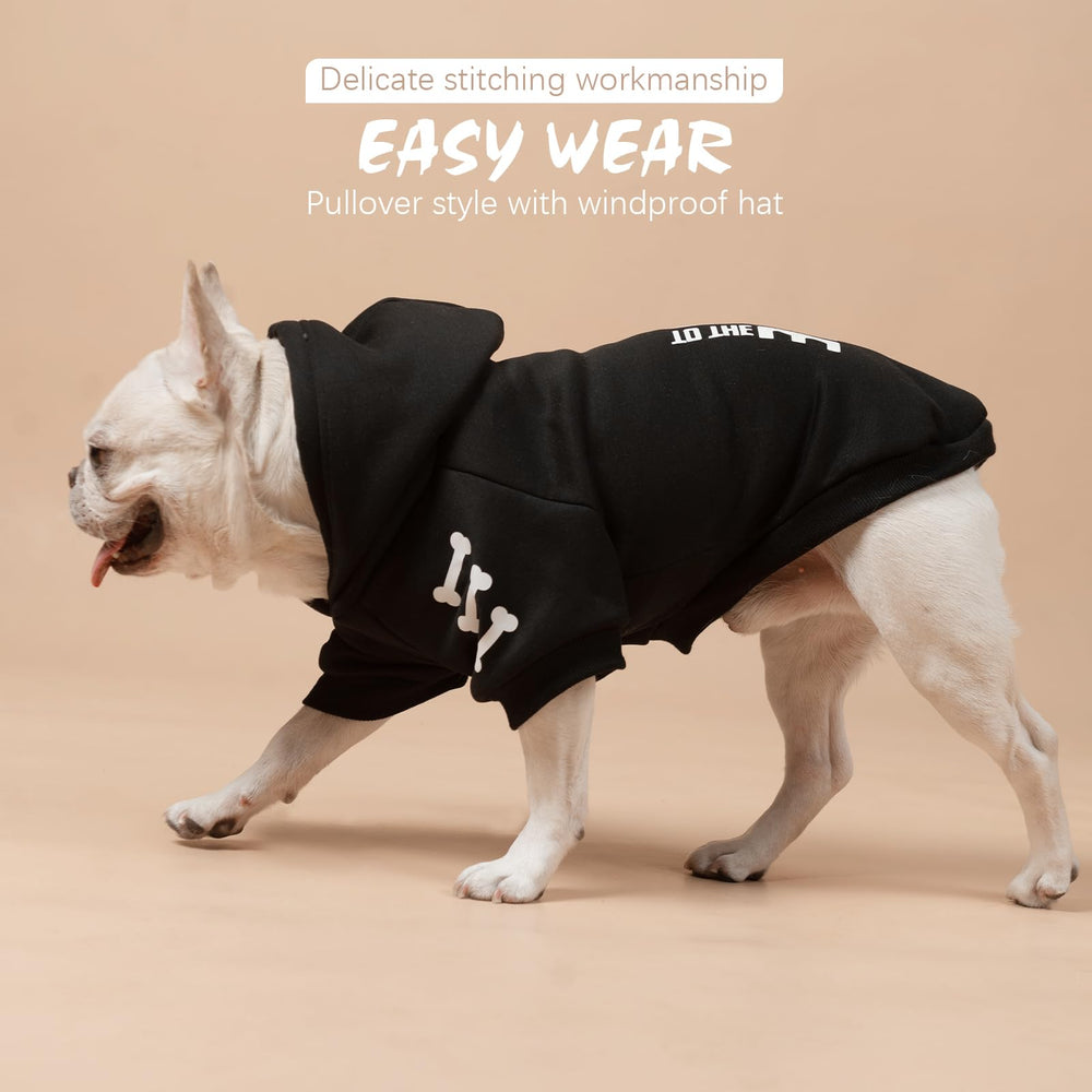 BINGPET Bad To The Bone sweater with leash hole is ideal for easy walks.