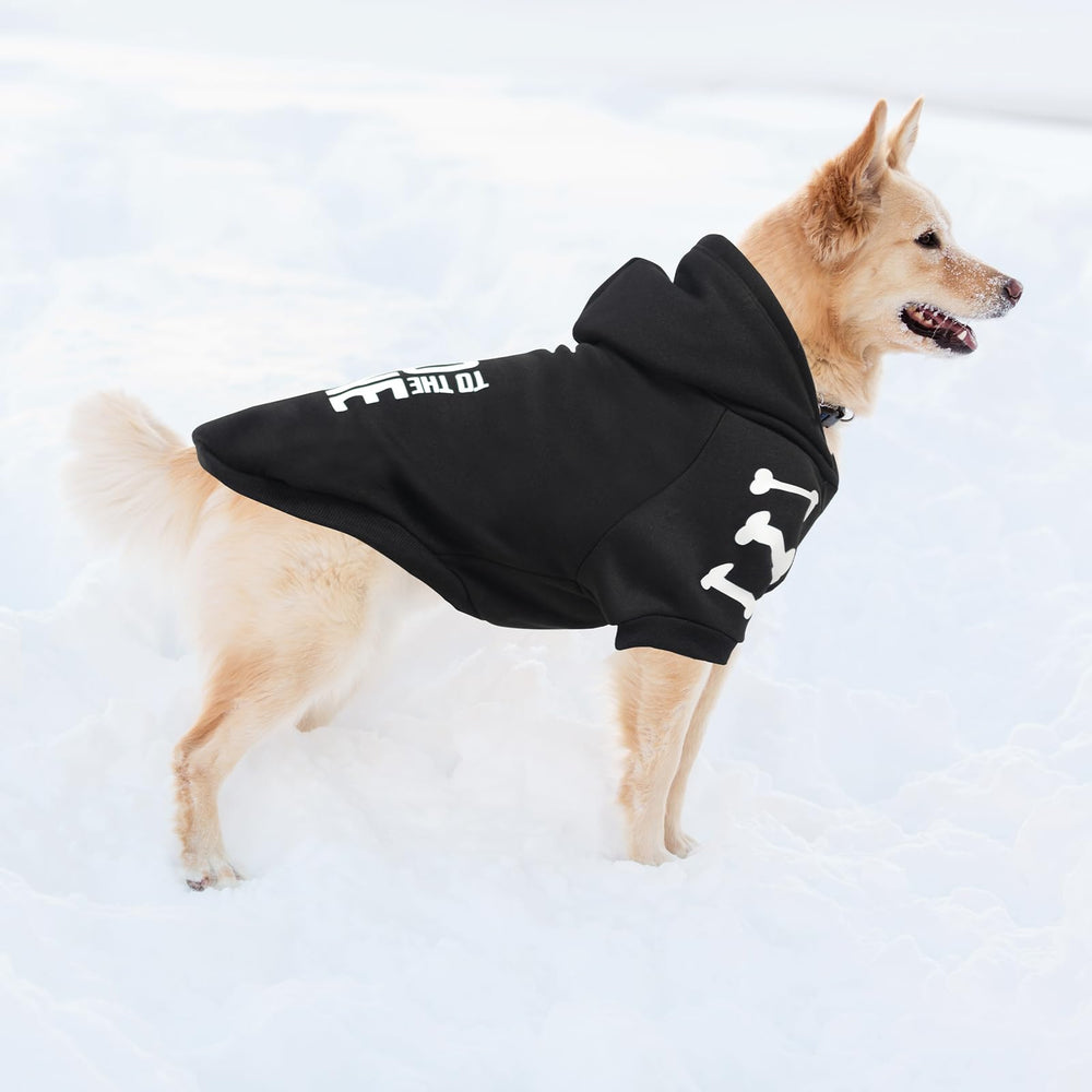 BINGPET Bad To The Bone side-profile view captures stylish dog fashion.