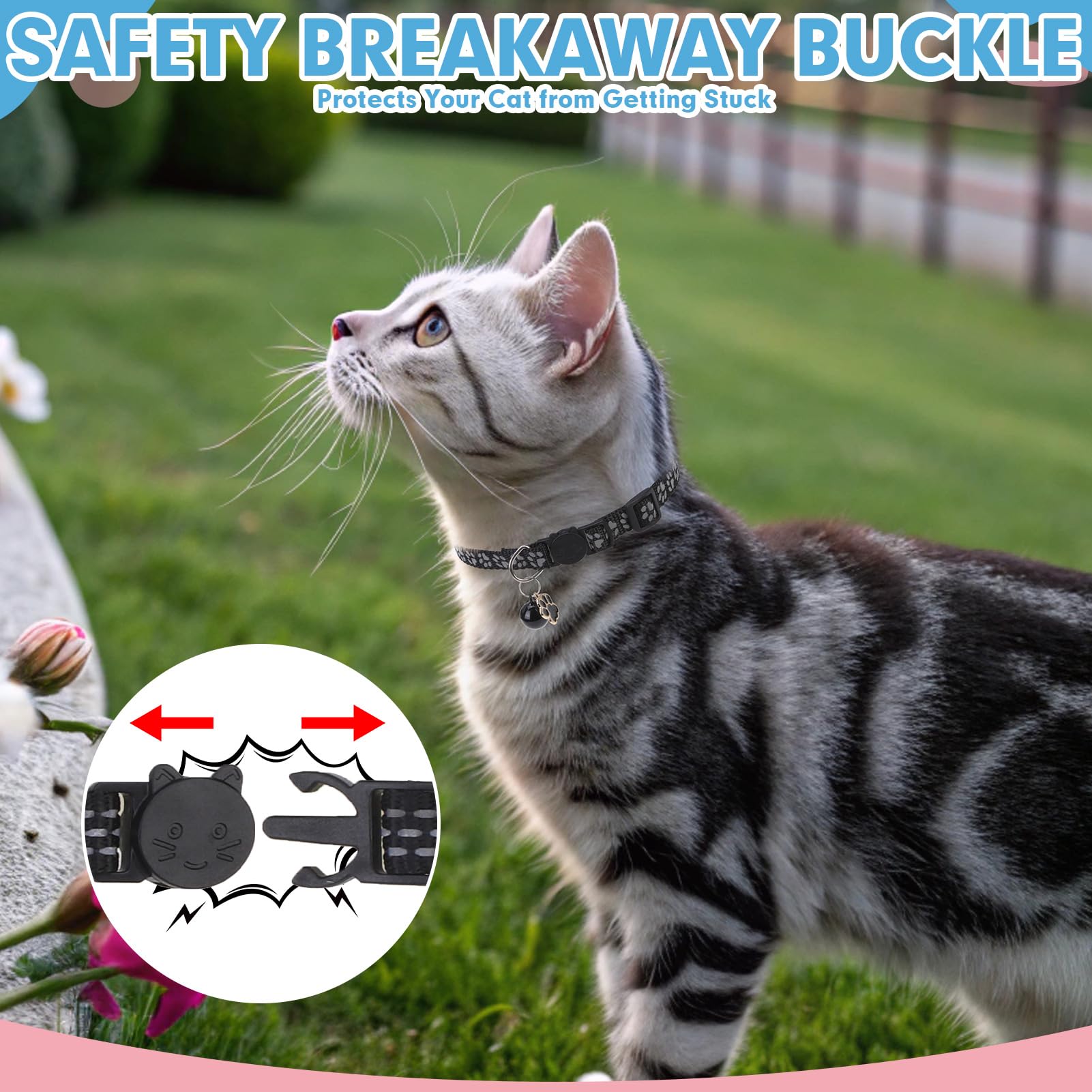 BINGPET breakaway buckle cat collar prevents snagging during curious play.