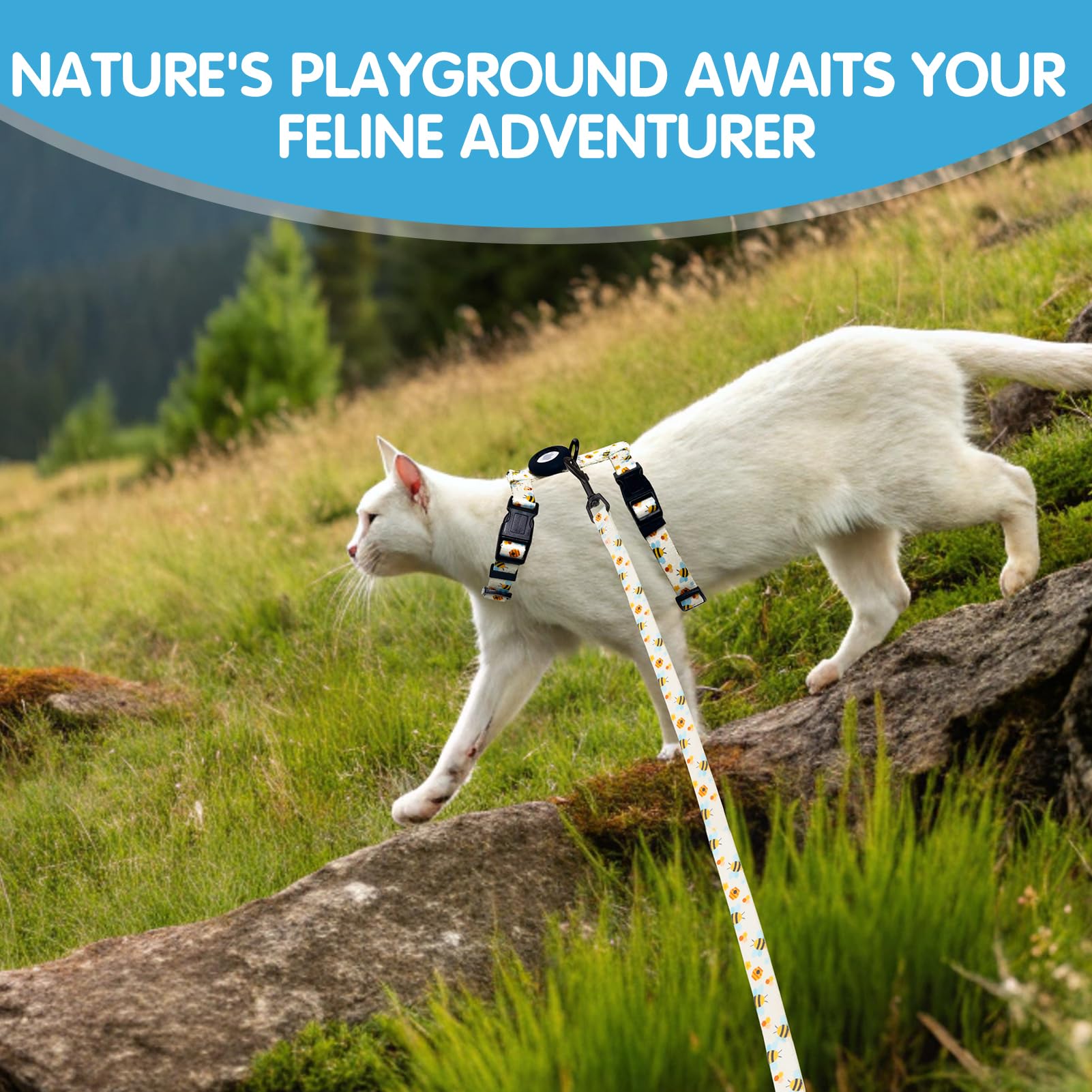 BINGPET bee-pattern harness ideal for stylish outdoor walks
