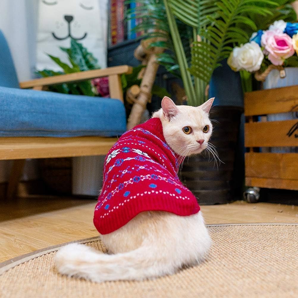 BINGPET cat sweater red small packaged shot suggests gift-ready presentation.