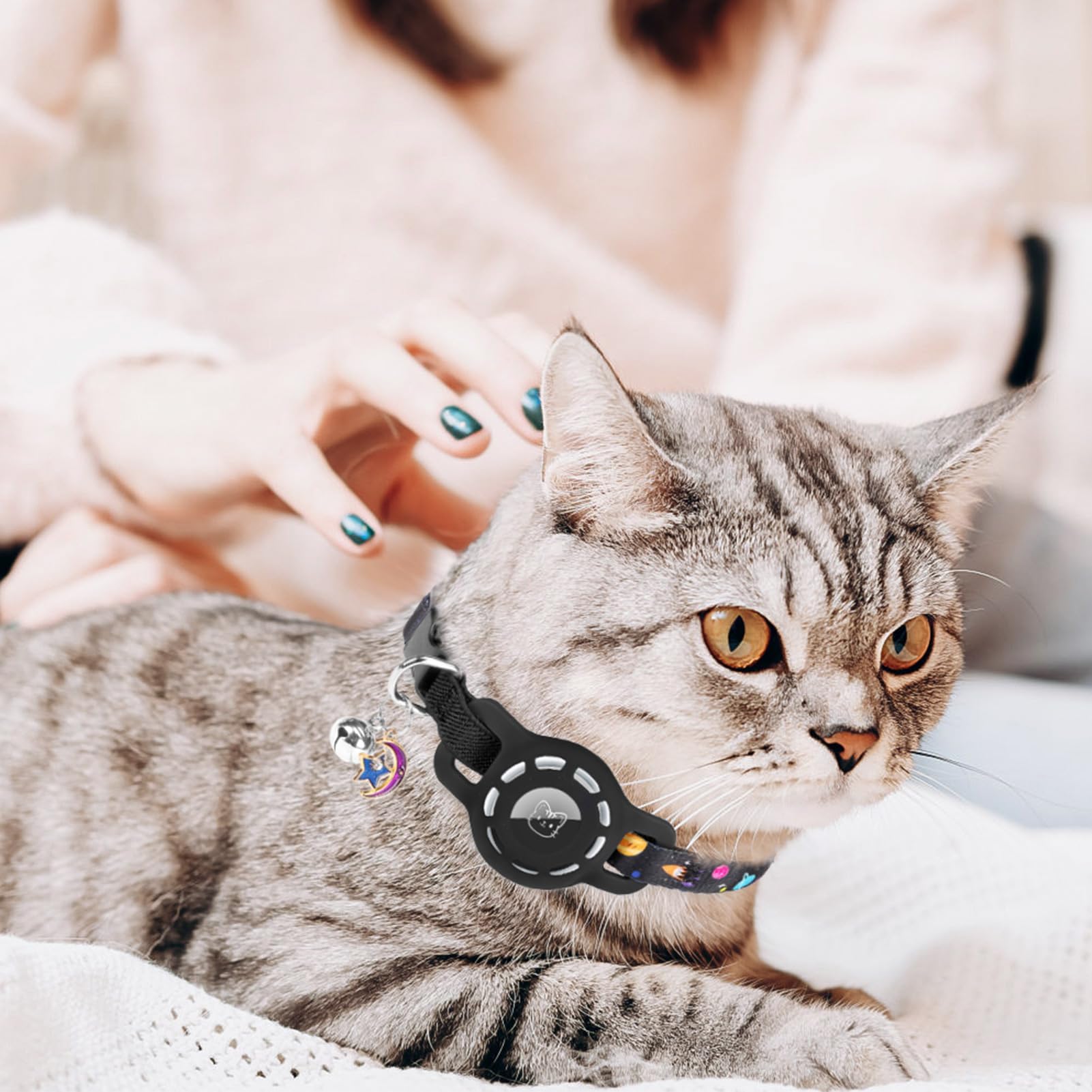 BINGPET Cat collar on kitty shows all-day comfortable wear.