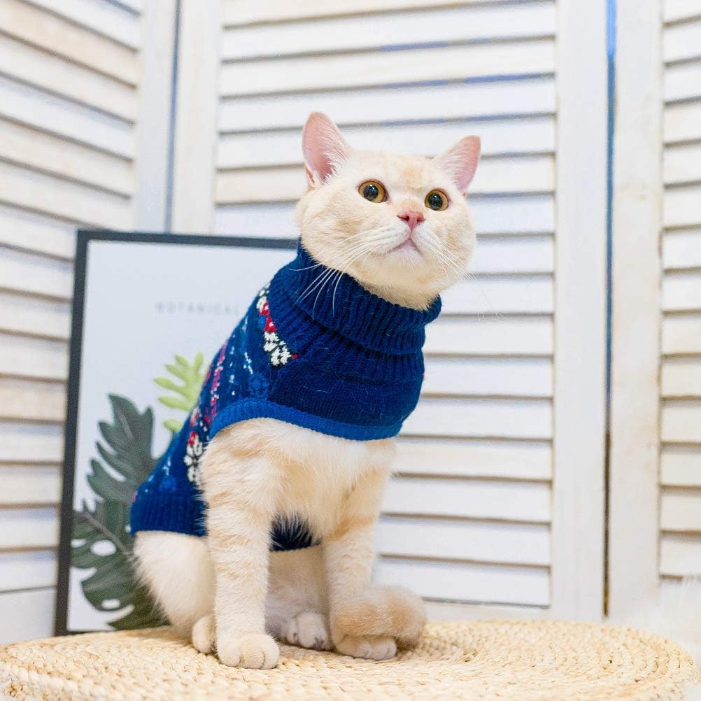 BINGPET Cat Sweater in Christmas photo session featuring festive knit