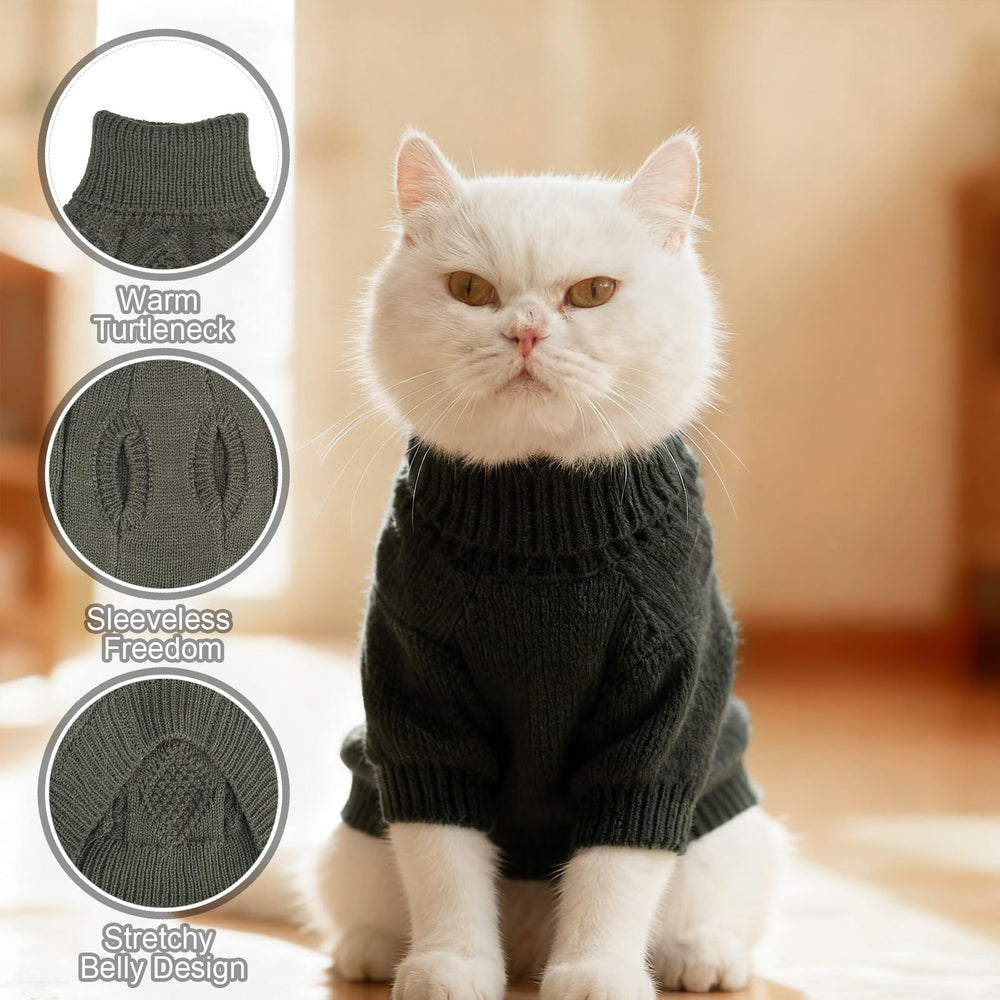 BINGPET Cat Sweater grey turtleneck focuses warmth and stylish look