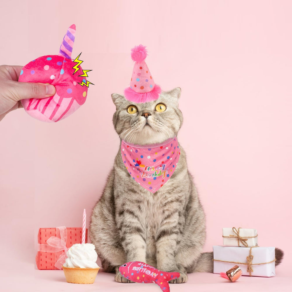 BINGPET catnip toys interactive kit – complete set that invites bonding and extended play
