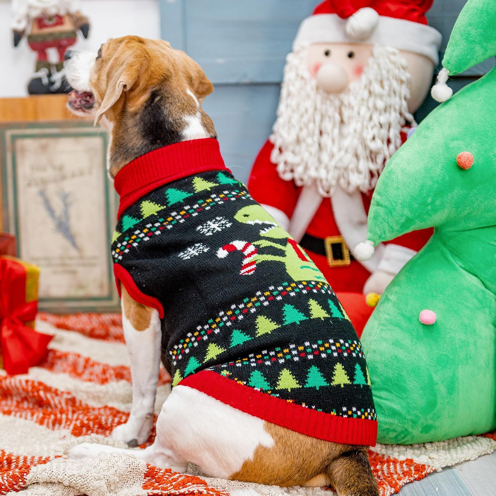 BINGPET Knit Dinosaur Sweater worn by model shows warmth.