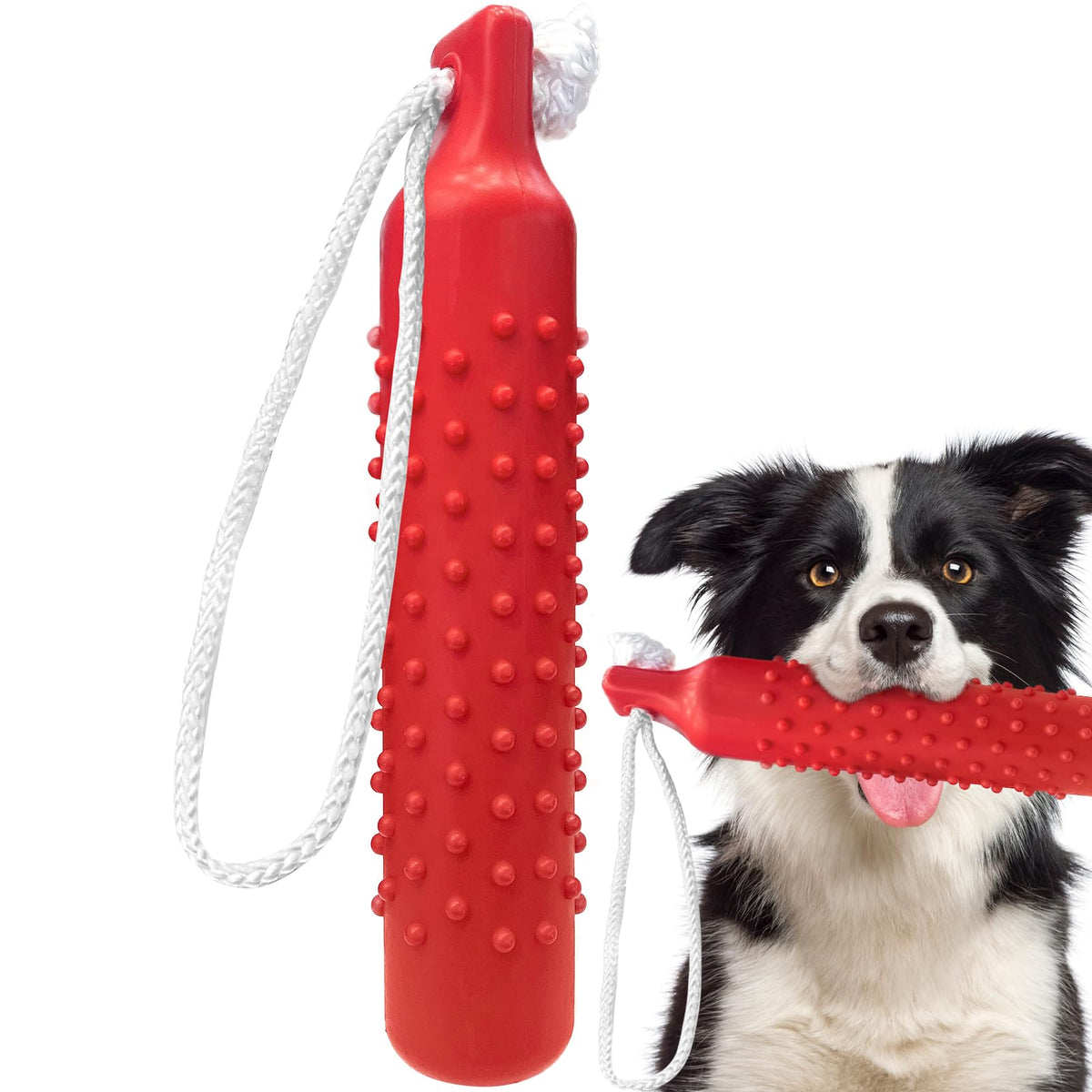 BINGPET dog float bumper toy 10.8-inch height for large dogs during pool fetch.