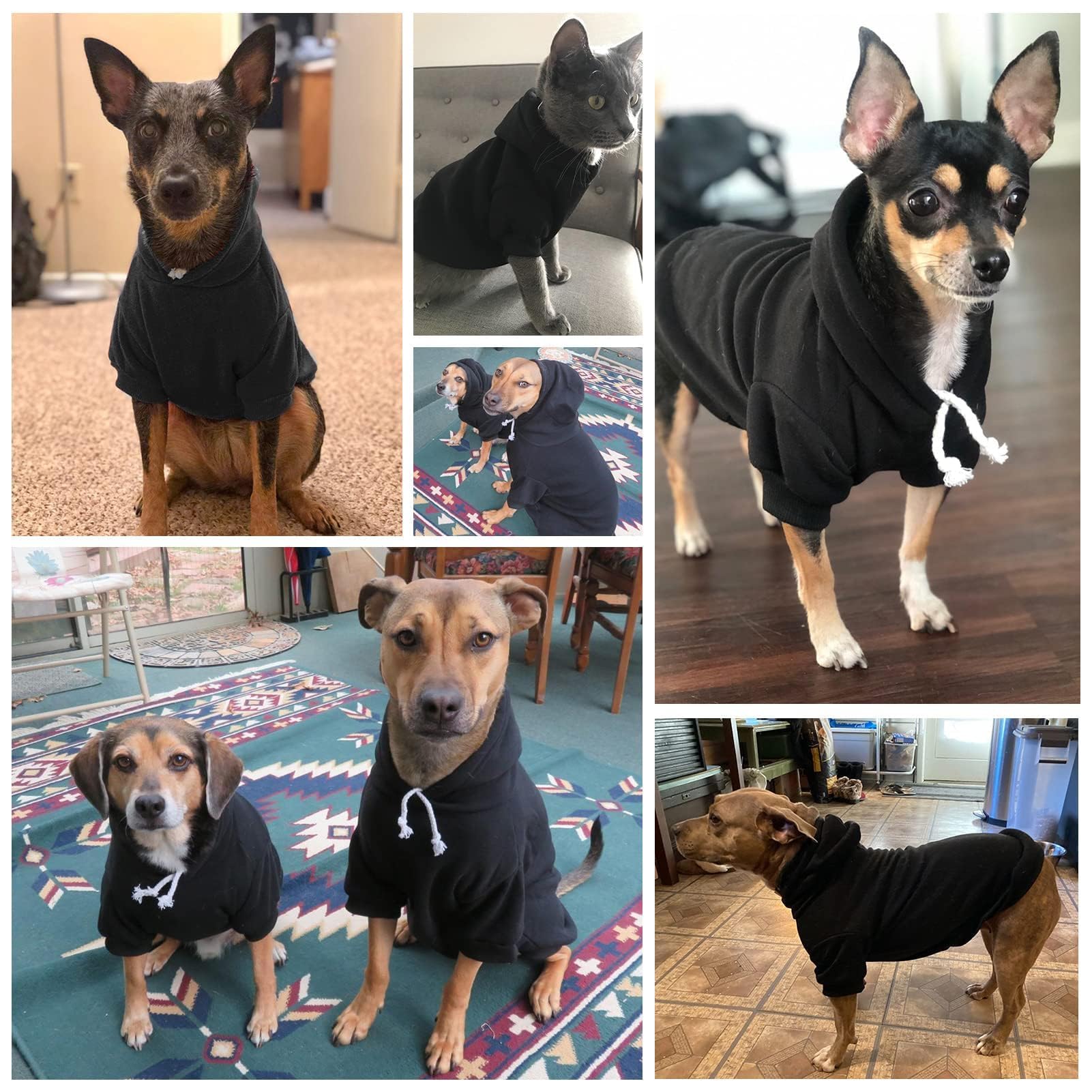 BINGPET dog hoodie care guidelines image highlights machine washable convenience.