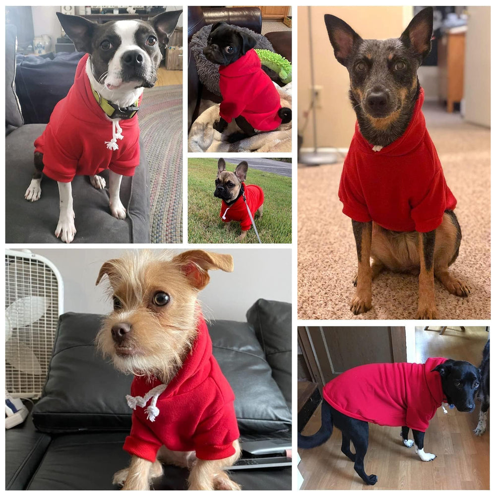 BINGPET Dog Hoodie size chart helps find the best fit for dogs and cats.
