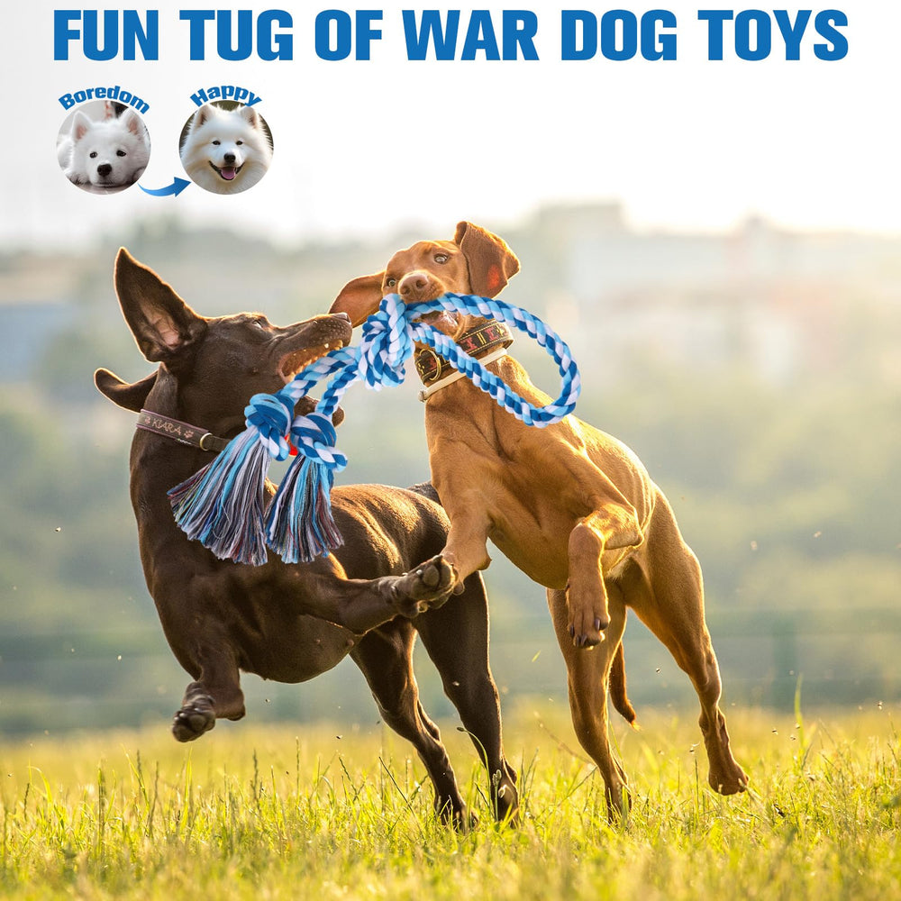 BINGPET large-dog rope toy in action during tug-of-war for bonding